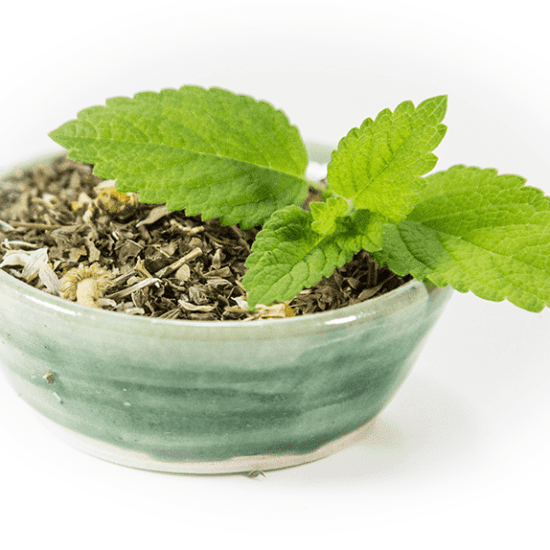 Safe Haven: spearmint, nettle, lemon thyme