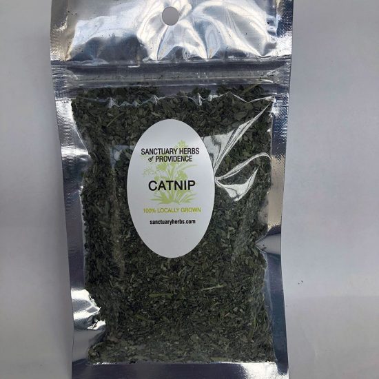 Catnip